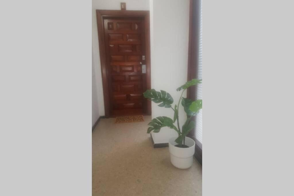 Victoria 51. Apartment Las Palmas de Gran Canaria Ngoại thất bức ảnh